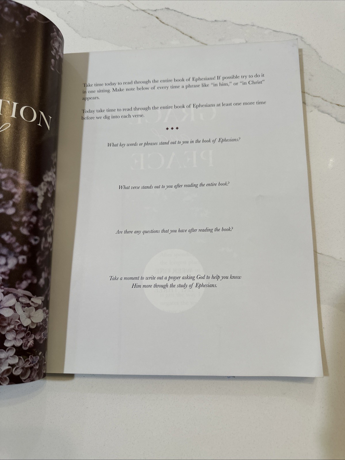 Chosen: A Study on the Book of Ephesians – Paperback – GOOD