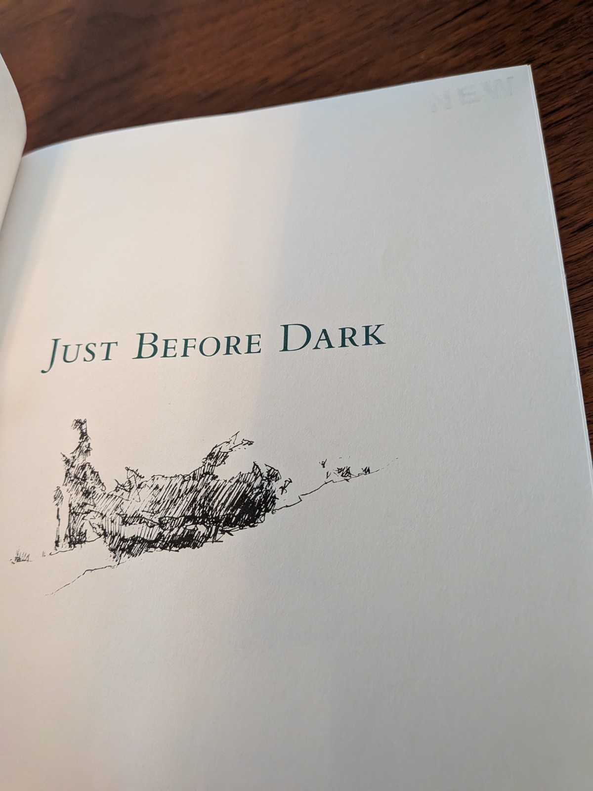 Just Before Dark – Jim Harrison – 1991 1st Ed HC/DJ – Poetry – Clark City Press