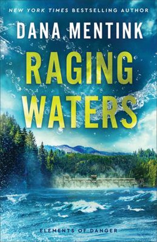 Raging Waters Paperback Dana Mentink