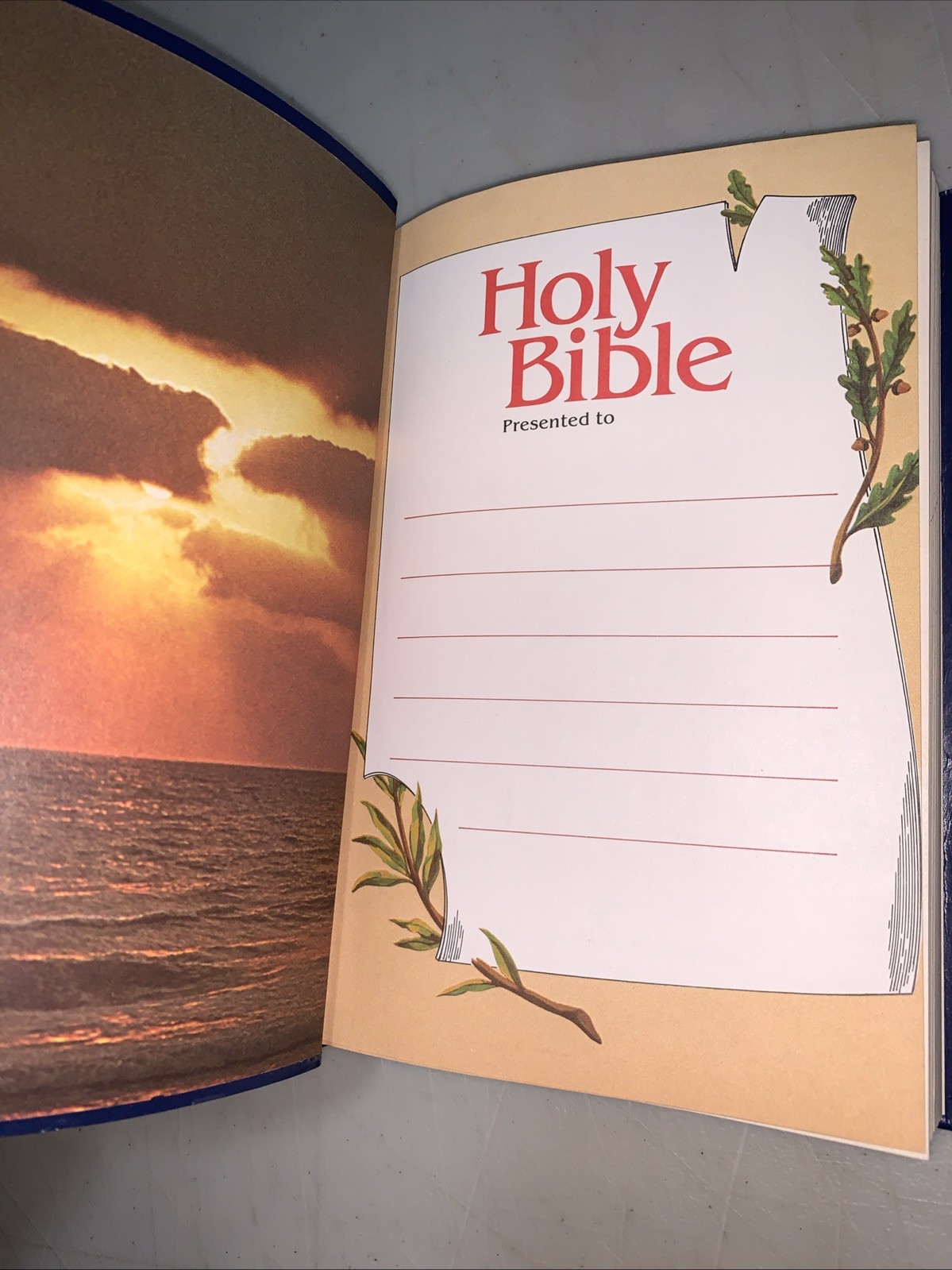 BIBLE HOLY BIBLE THOMAS NELSON 412B CHRIST RED LETTER 654 PAGES NKJV