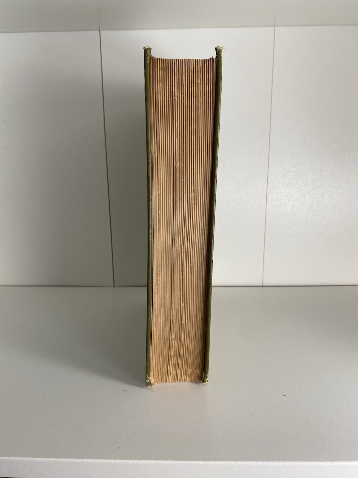 Antique Illustrated The American Natural History WT Hornaday 1912 Hardcover