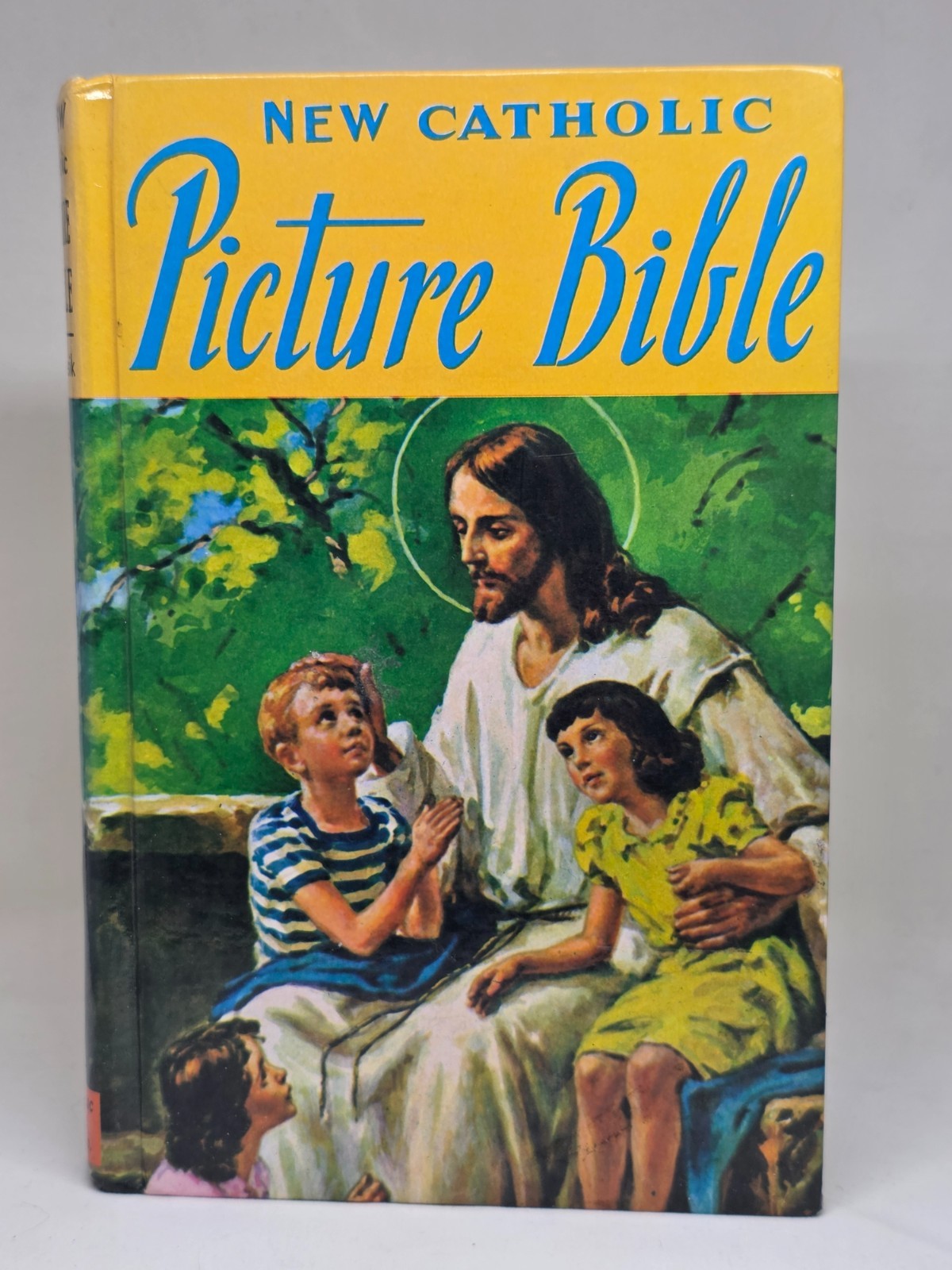 THE NEW CATHOLIC PICTURE BIBLE Rev. Lawrence G. Lovasik 1981 Children’s B114