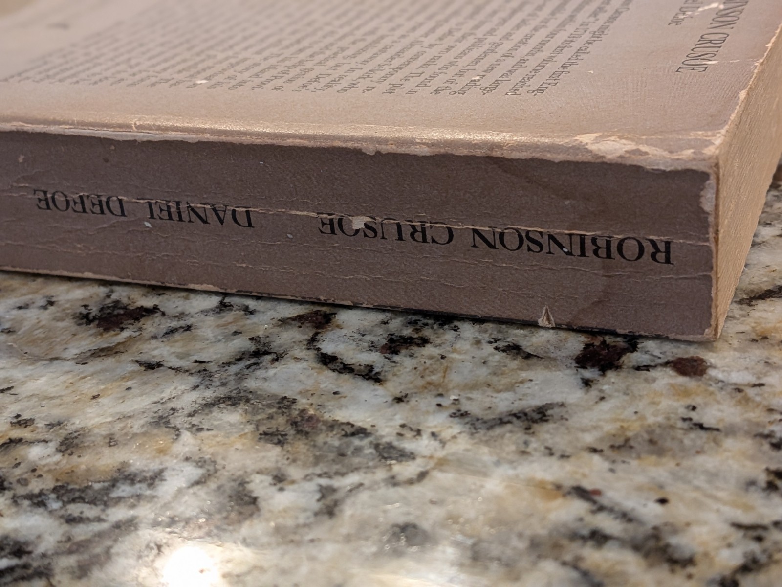 Vintage ROBINSON CRUSOE by Daniel Defoe Dolphin Paperback