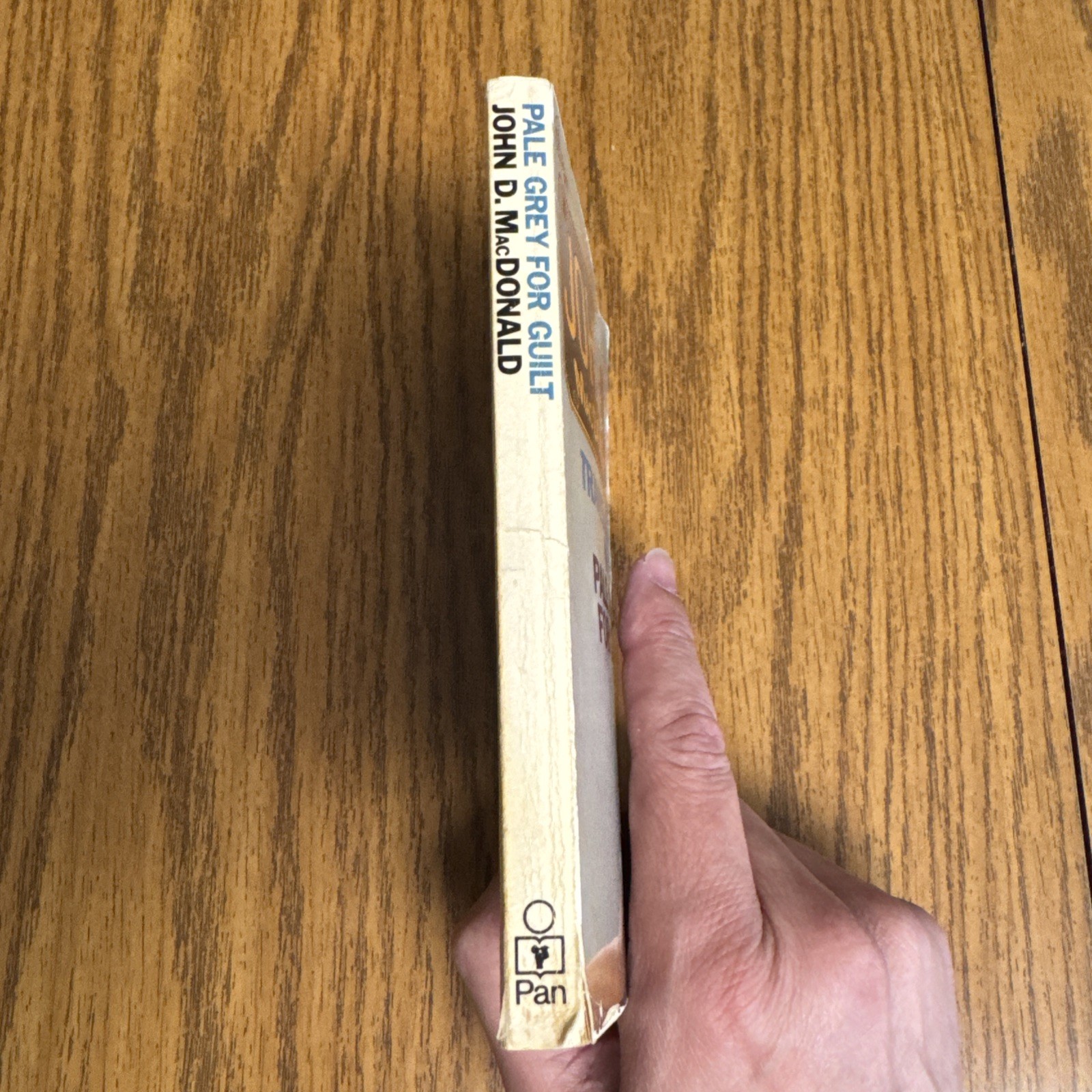 Pale Gray For Guilt John D MacDonald PB Vintage Pulp Fiction Crime Travis McGee