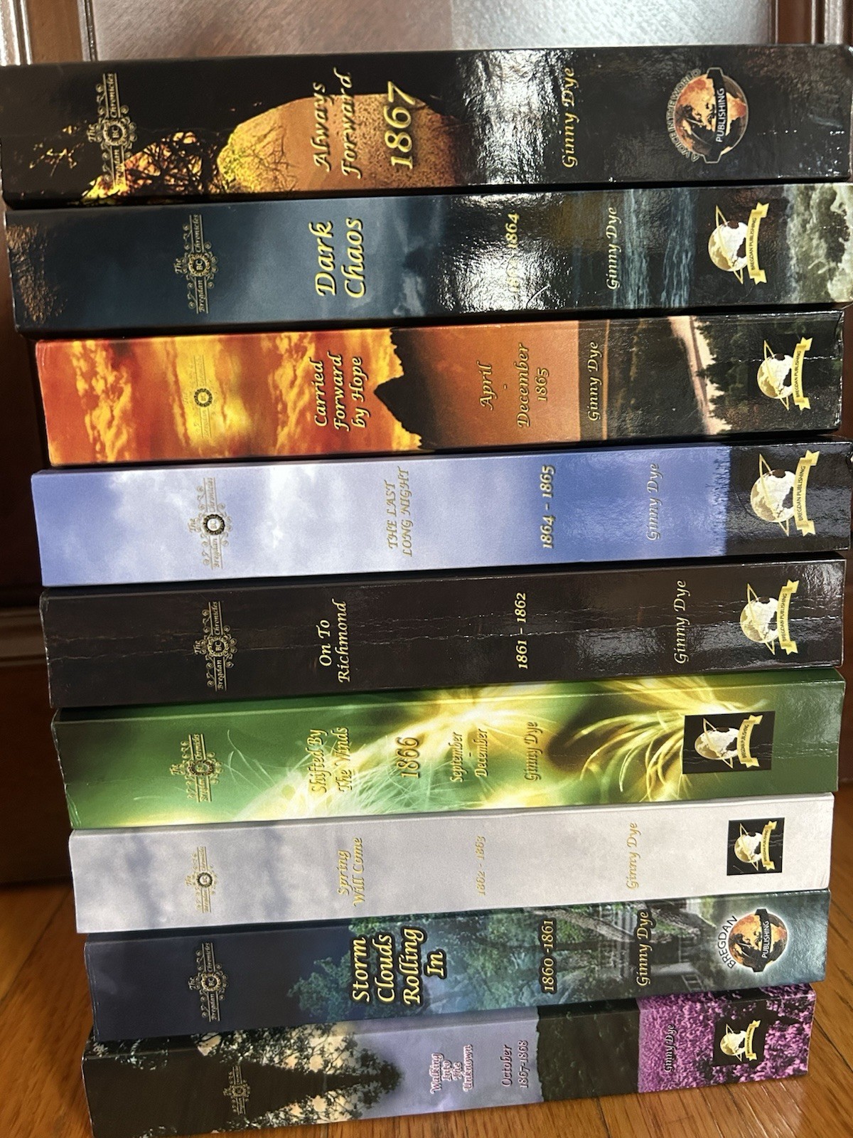 BIG Lot Of 9 The BREGDAN CHRONICLES Ginny Dye Books In Good Condition- 1-6, 8-10