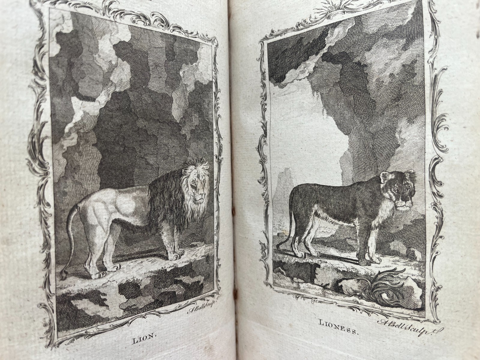 1785 Natural History General and Particular Count De Buffon Smellie illustrated
