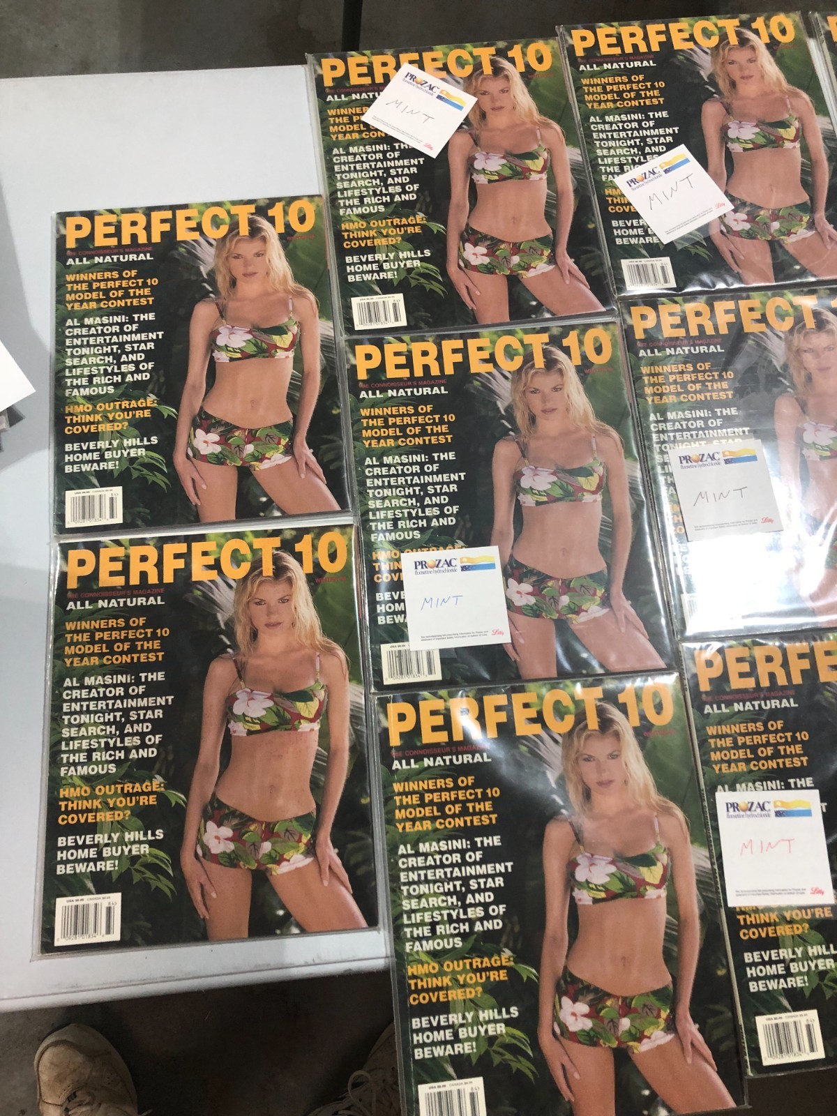 Collectable Perfect 10 Magazines in Near Mint Condition