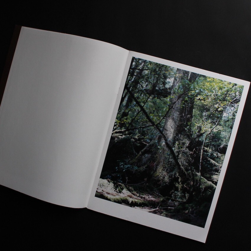 Materia Yoshihiko Ueda 2012 Japanese Photography Book Yakushima Landscape Forest
