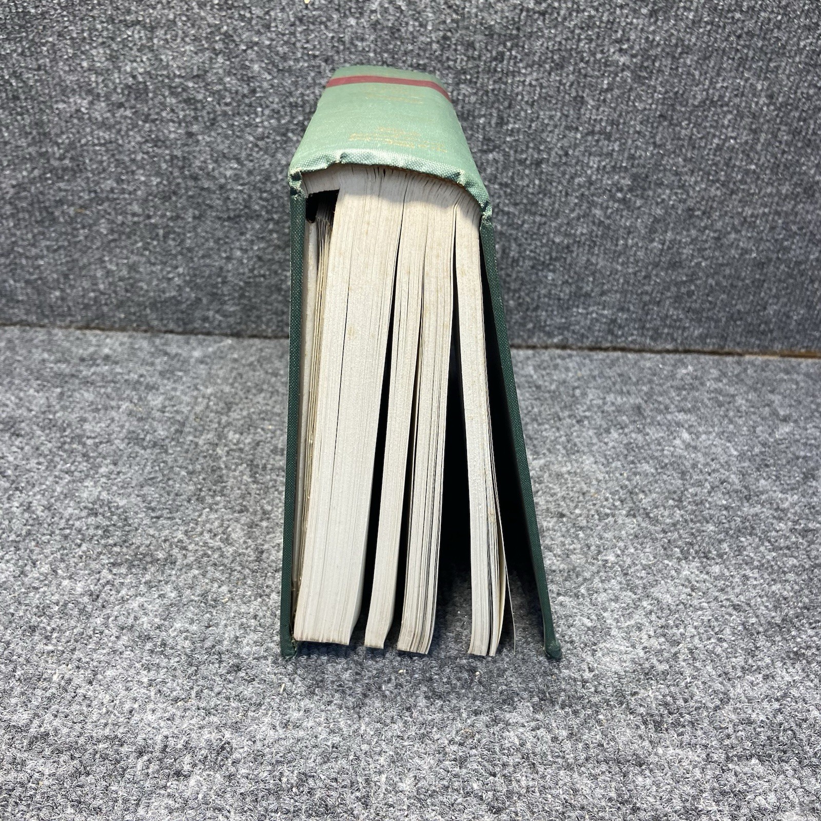 US Army in WWII War European Theatre Of Operations The Siegfried Line Campaign
