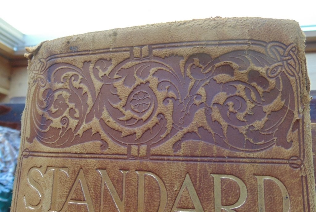 1901 Funk & Wagnalls Standard Dictionary