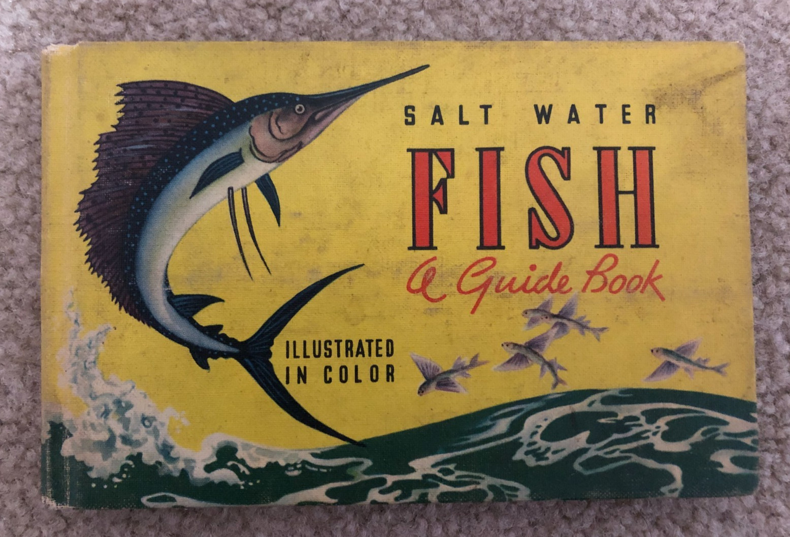 SALT WATER FISH A GUIDE BOOK Illustrated in Color Mini Vintage Book 1939
