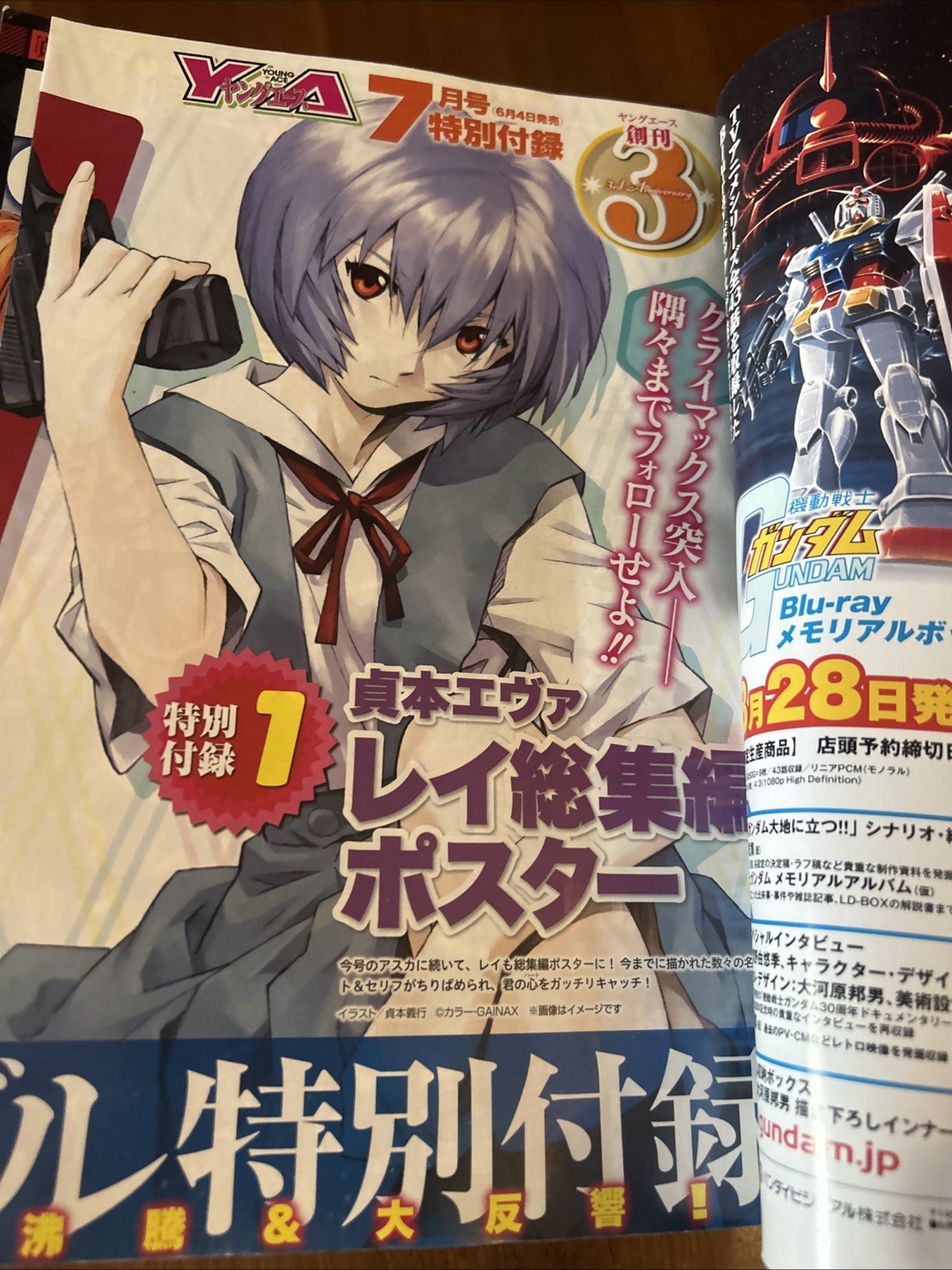 Young Ace[2013 June] Japanese Edition VG MANGA
