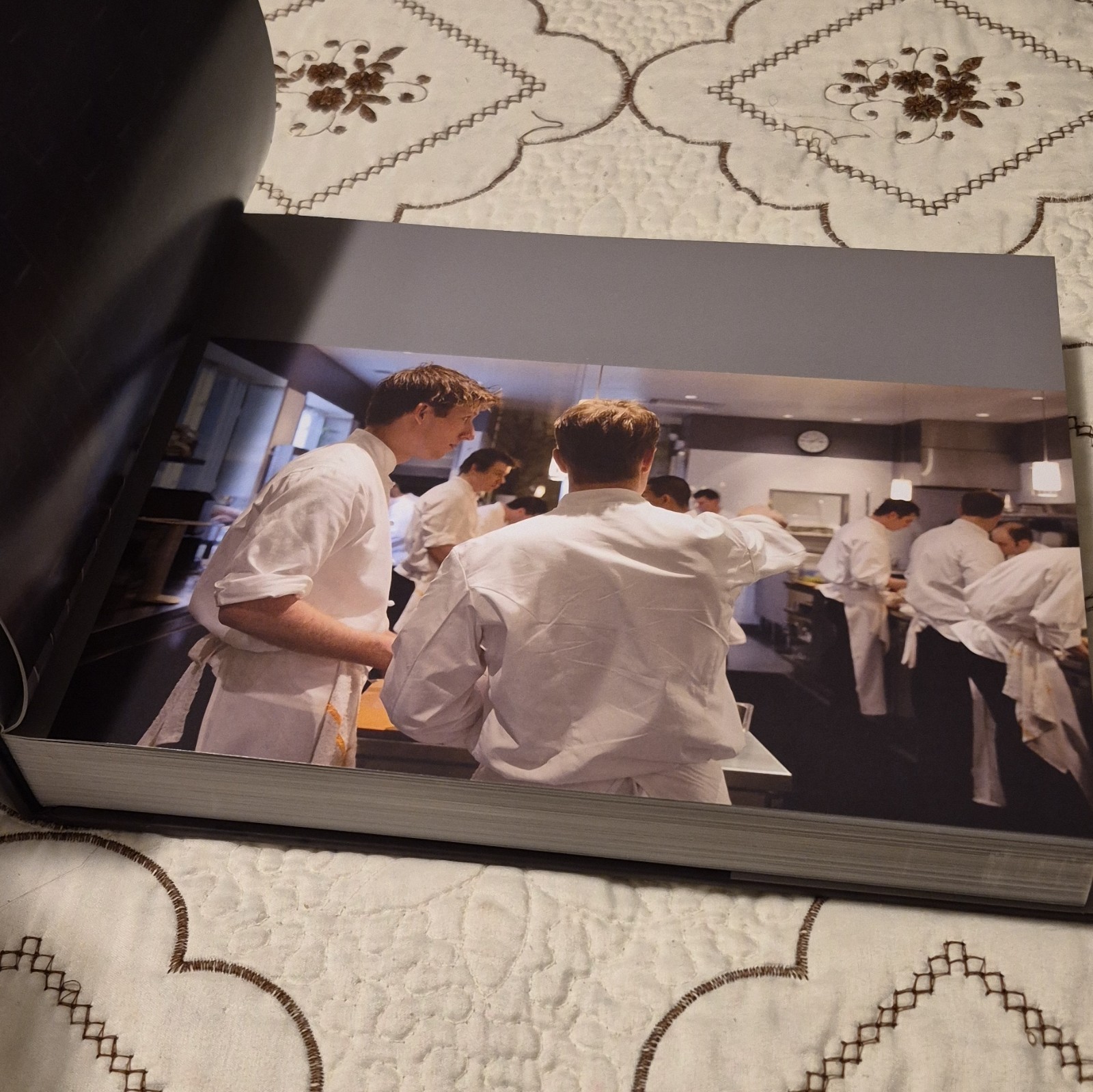 Alinea Hardcover 2008 Grant Achatz Ten Speed Press Illustrated w/ Dust Jacket