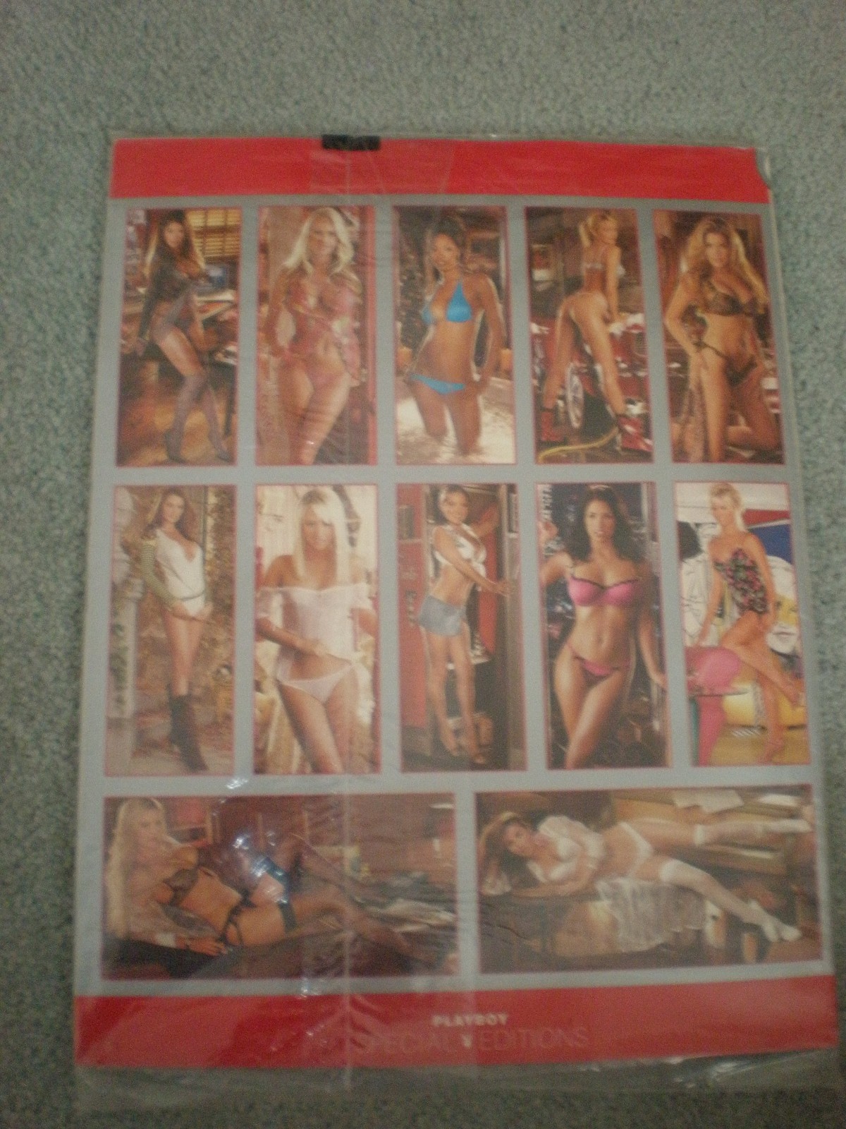 Playboy Special Edition Magazine – Playmate Review 2007 – NEW PUBLISHER SEALED