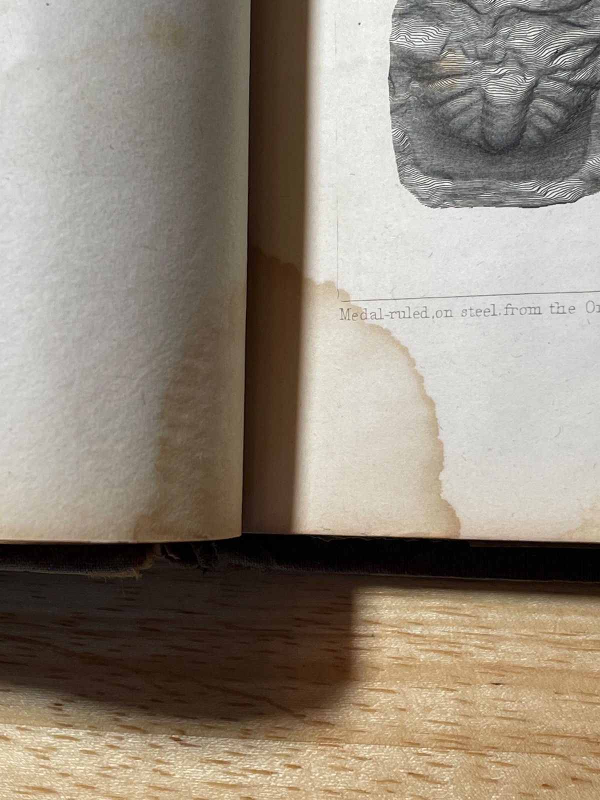 Illustrations to Owen’s Geological Survey 1852 David Dale Owen Wisconsin RARE