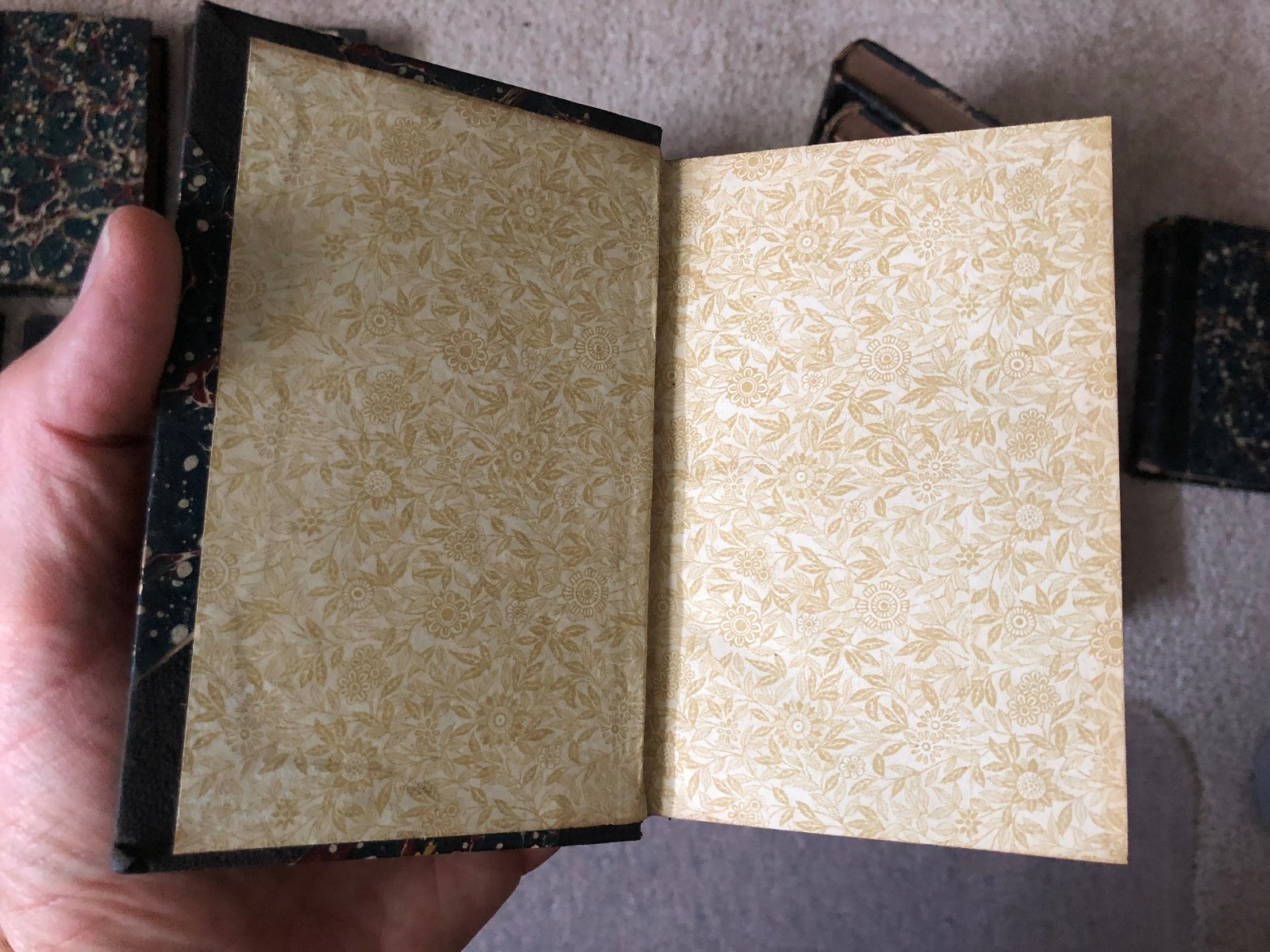 Bibliographisches Institut Meyers Volksbücher 19 Vols Goethe Heine Dante Leipzig