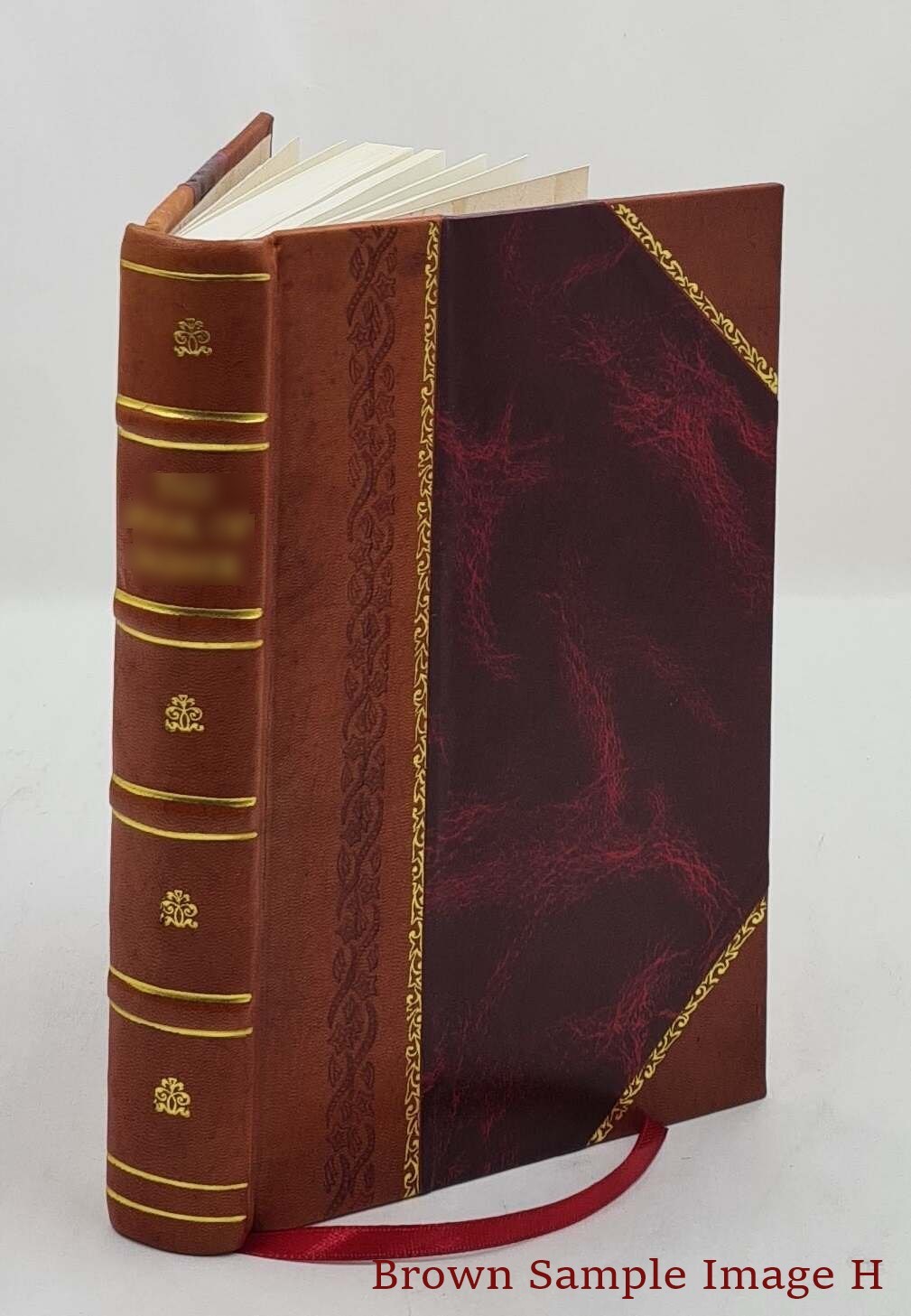 Mylius’S School Dictionary Of The English Language 1809 [Leather Bound]