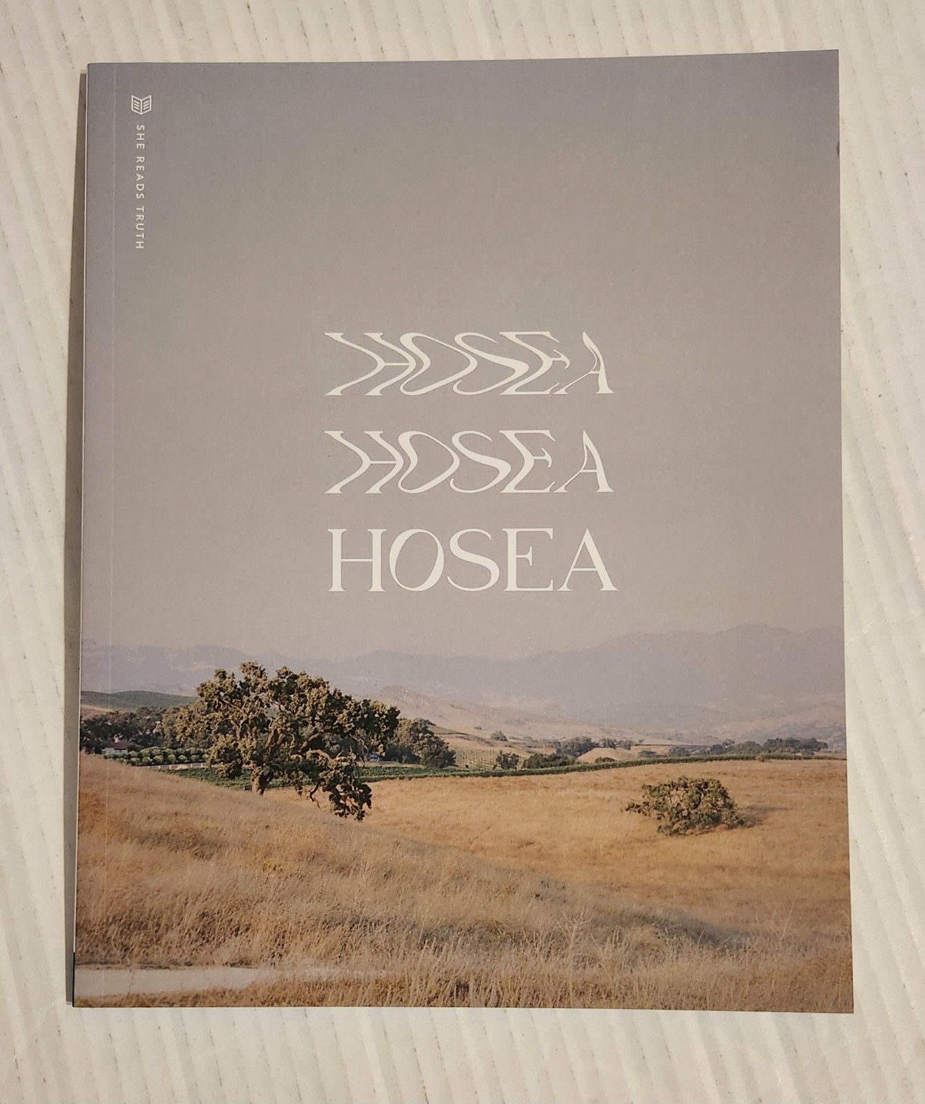 She Reads Truth HOSEA Workbook Christian Study Guide Bible Scripture Jesus