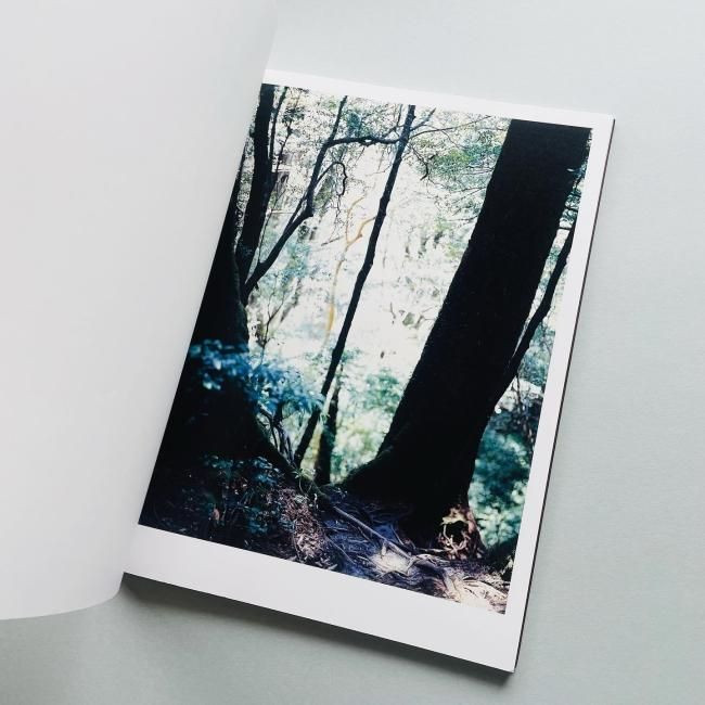 Materia : Yoshihiko Ueda / Yakushima Forest Photo Collection 2012 Japan