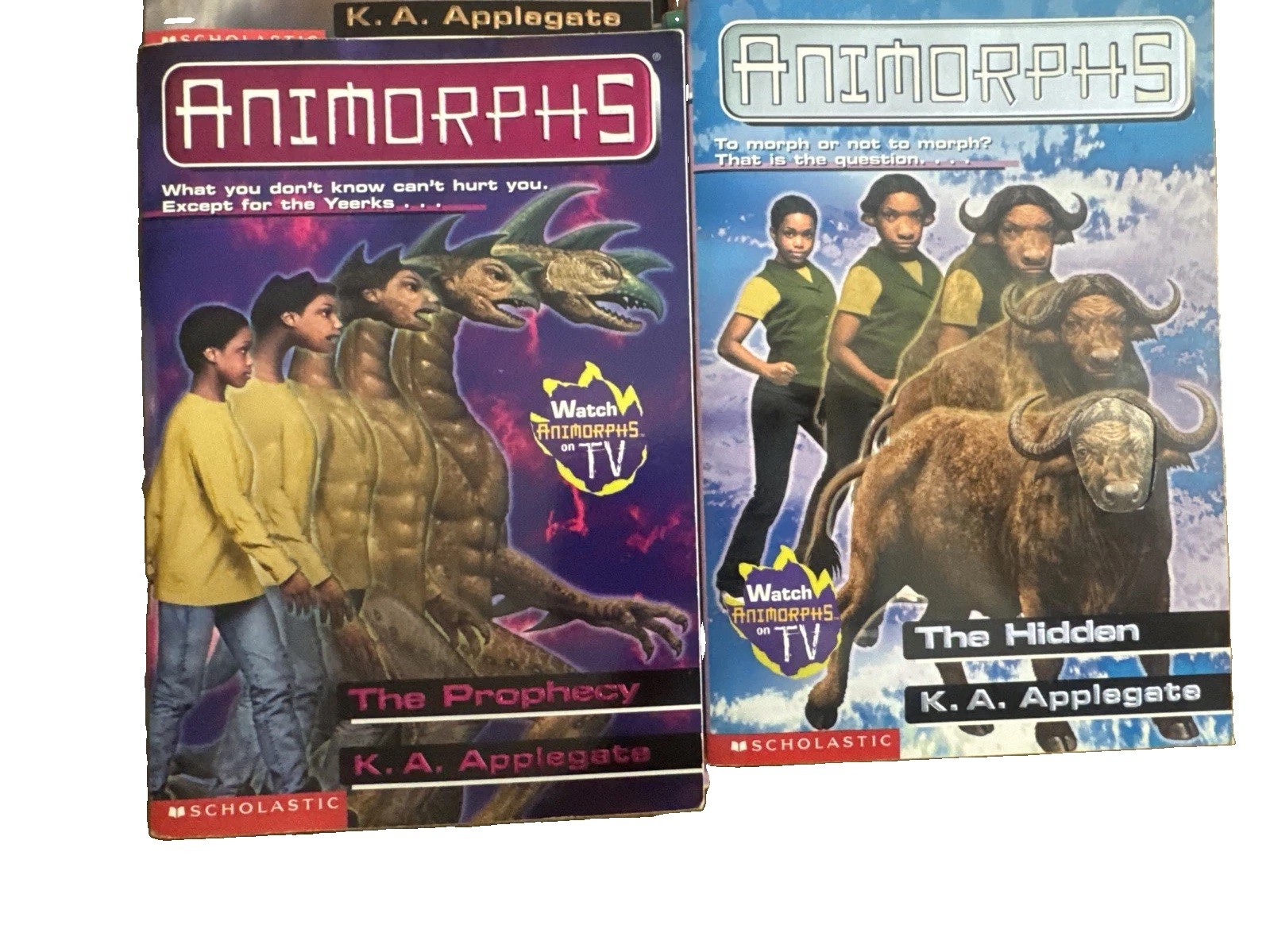 Lot of 14 Book Animorphs by K.A. Applegate 1, 3-13, 15 + Andalite Chronicles