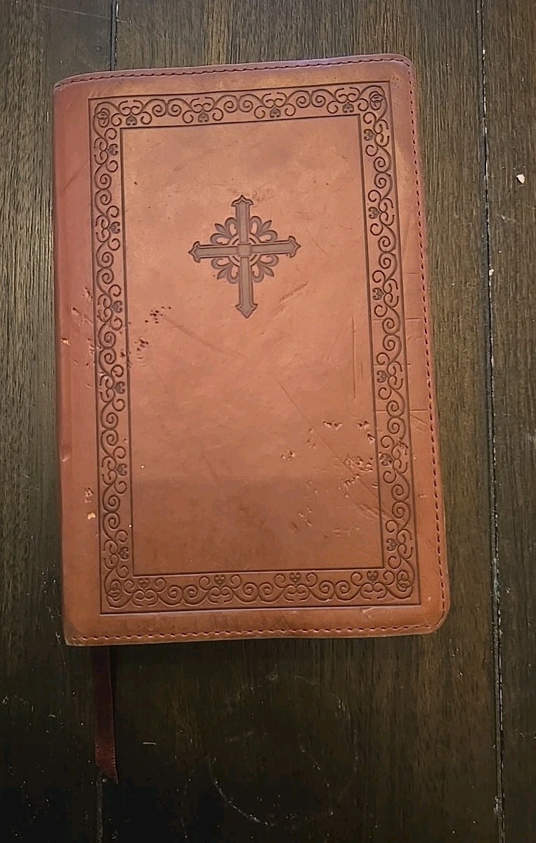 NIV Teen Study Bible Leather Bound Paperback