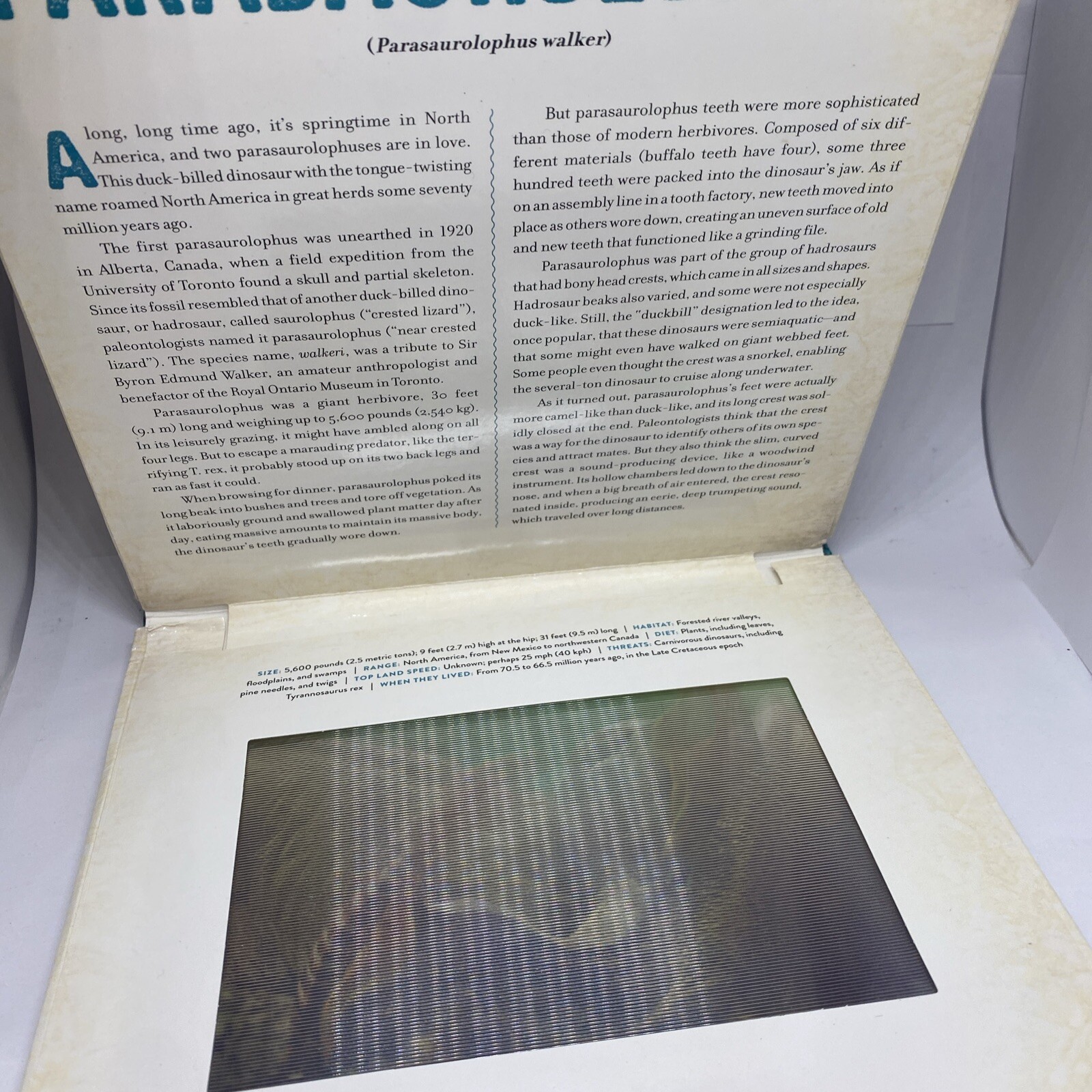 Photicular Ser.: Dinosaur : A Photicular Book by Kathy Wollard and Dan Kainen…