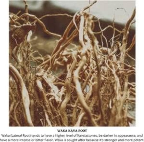 Kava Kava Root 4oz Loose Powder Fiji Piper methysticum Kosher Certified