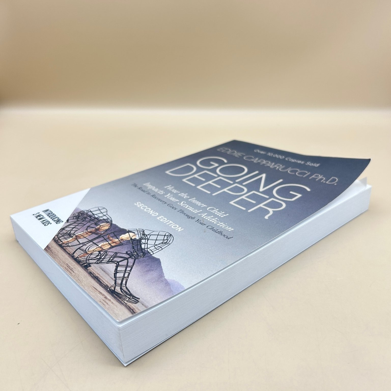 Going Deeper Eddie Capparucci PhD 2023 Second Edition Addiction Recovery