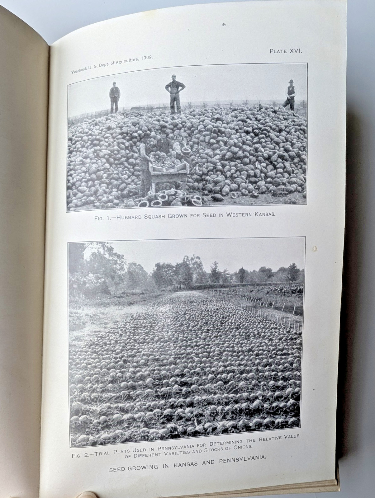 Yearbook of the U.S. Department of Agriculture, 1909 Illustrated Antique HC Book