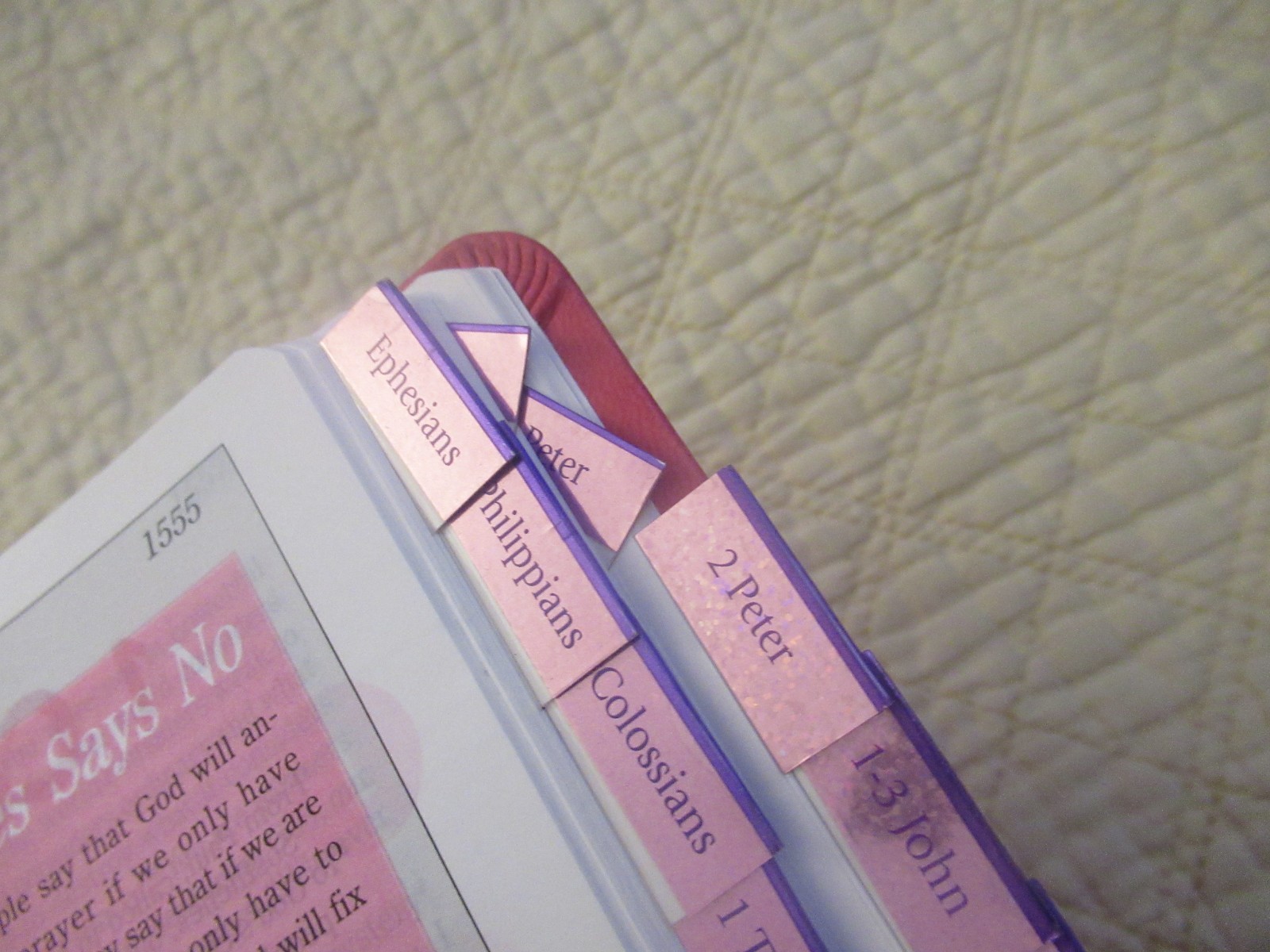 God’s Word for Girls (Pink Faux Leather Bound) (God’s Word Translation)
