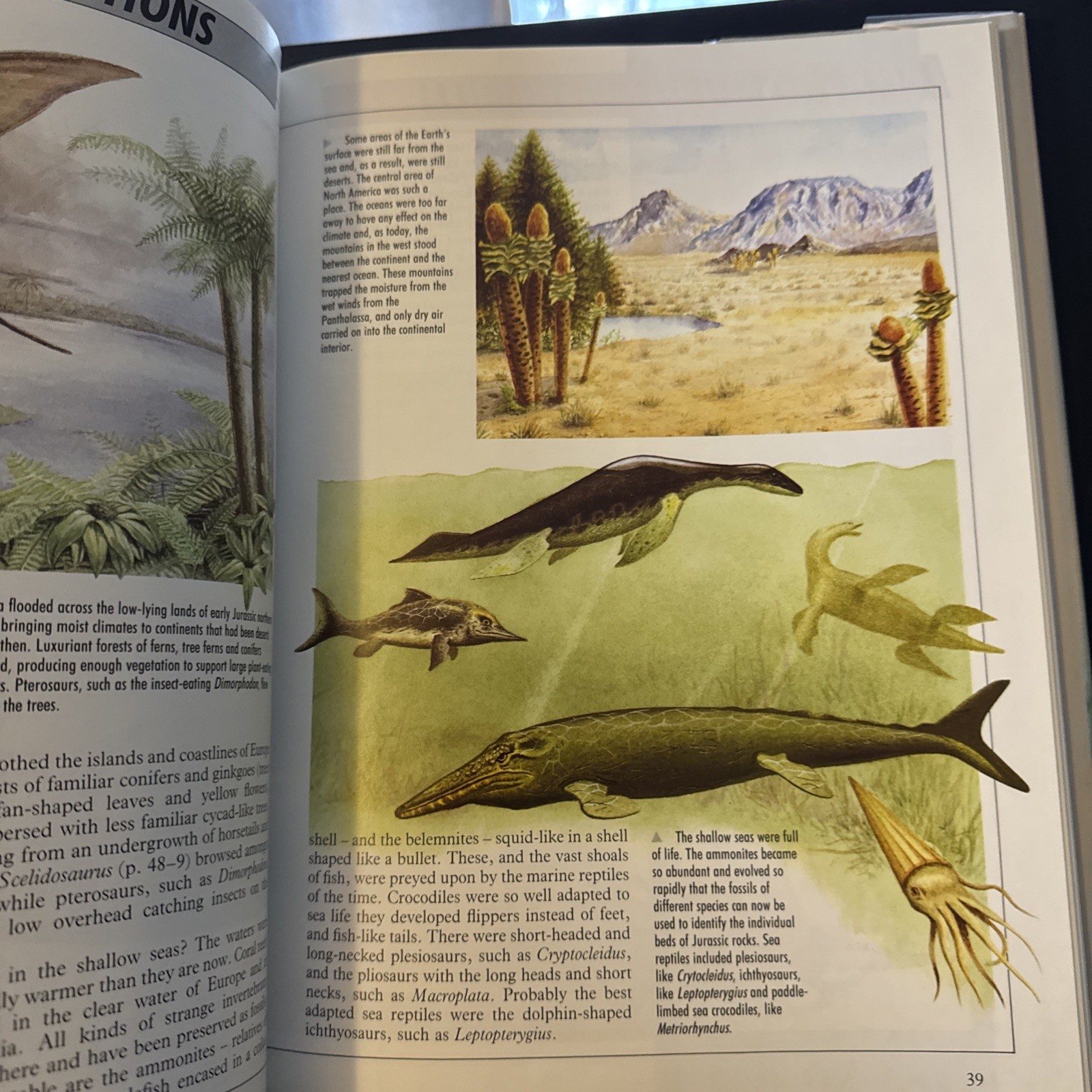 Illustrated Dinosaur Encyclopedia by Dougal Dixon (1988, Hardcover)