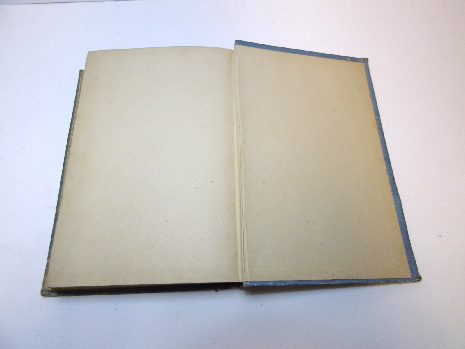 Antique 1909 Lilith By Mrs. E.D.E.N. Southwort A.L. Burt Co.