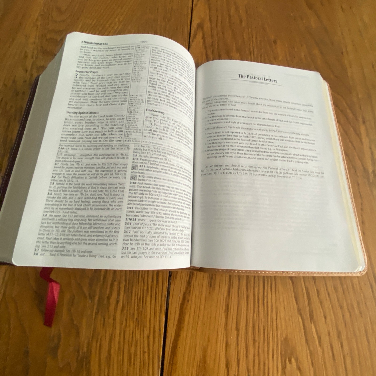 NIV Compact Study Bible Zondervan Italian Duo Tone Camel Burgundy