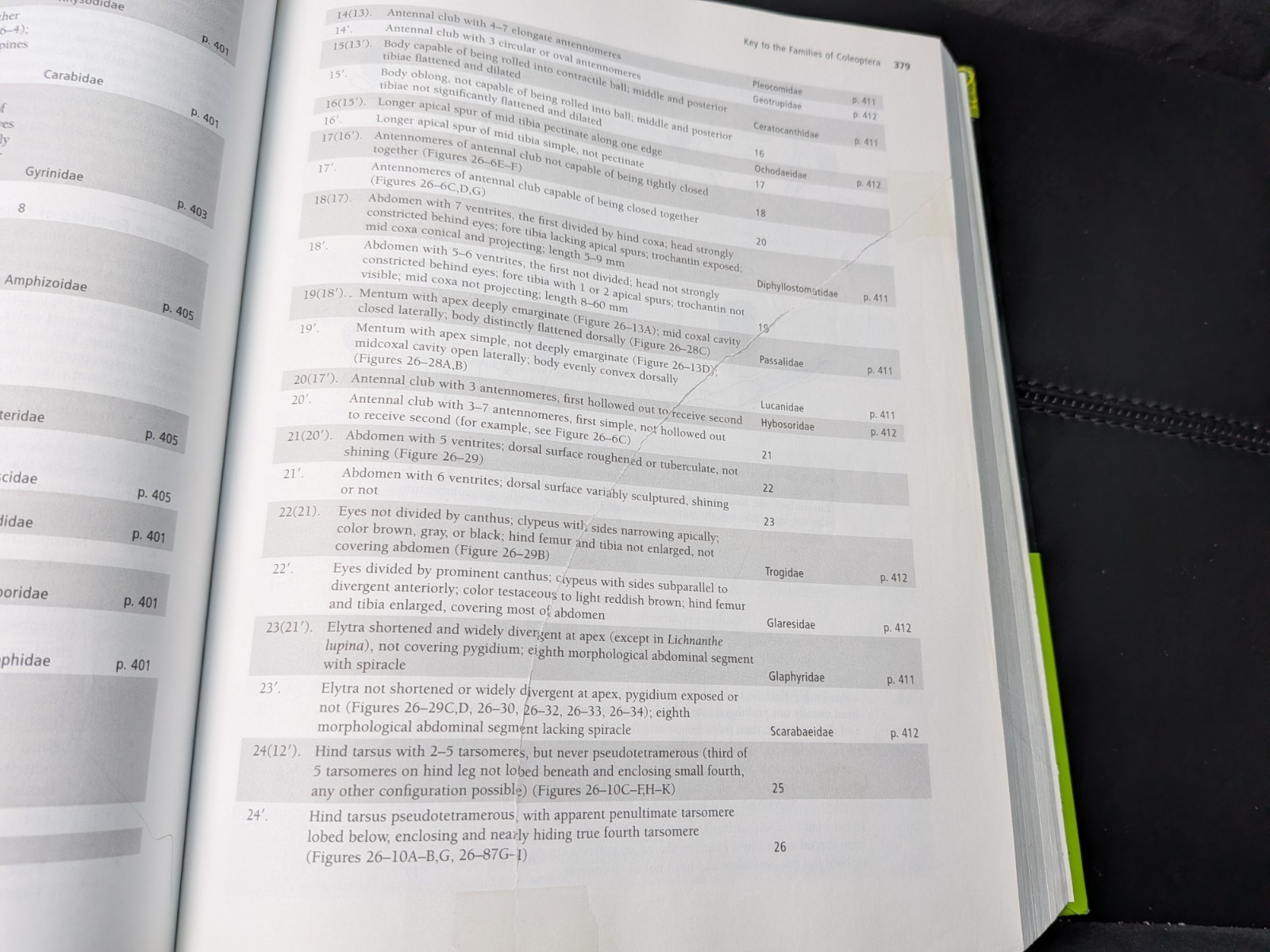 Borror and Delong’s Introduction to the Study of Insects by Norman F. Johnson…