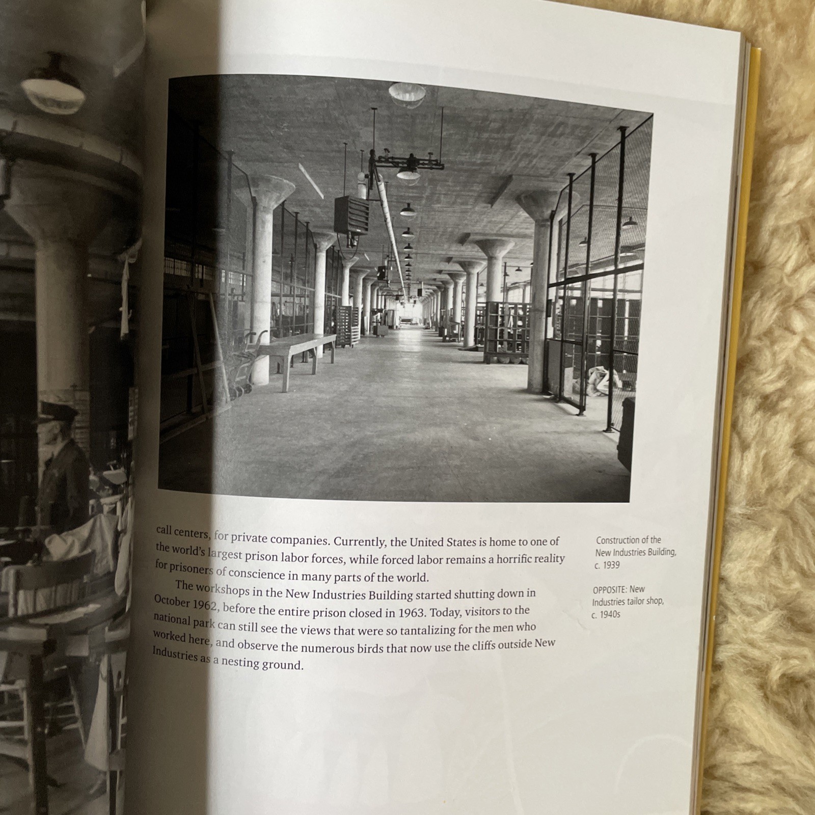 @Large Ai Weiwei on Alcatraz Softcover Art Exhibition Book Museum Catalog