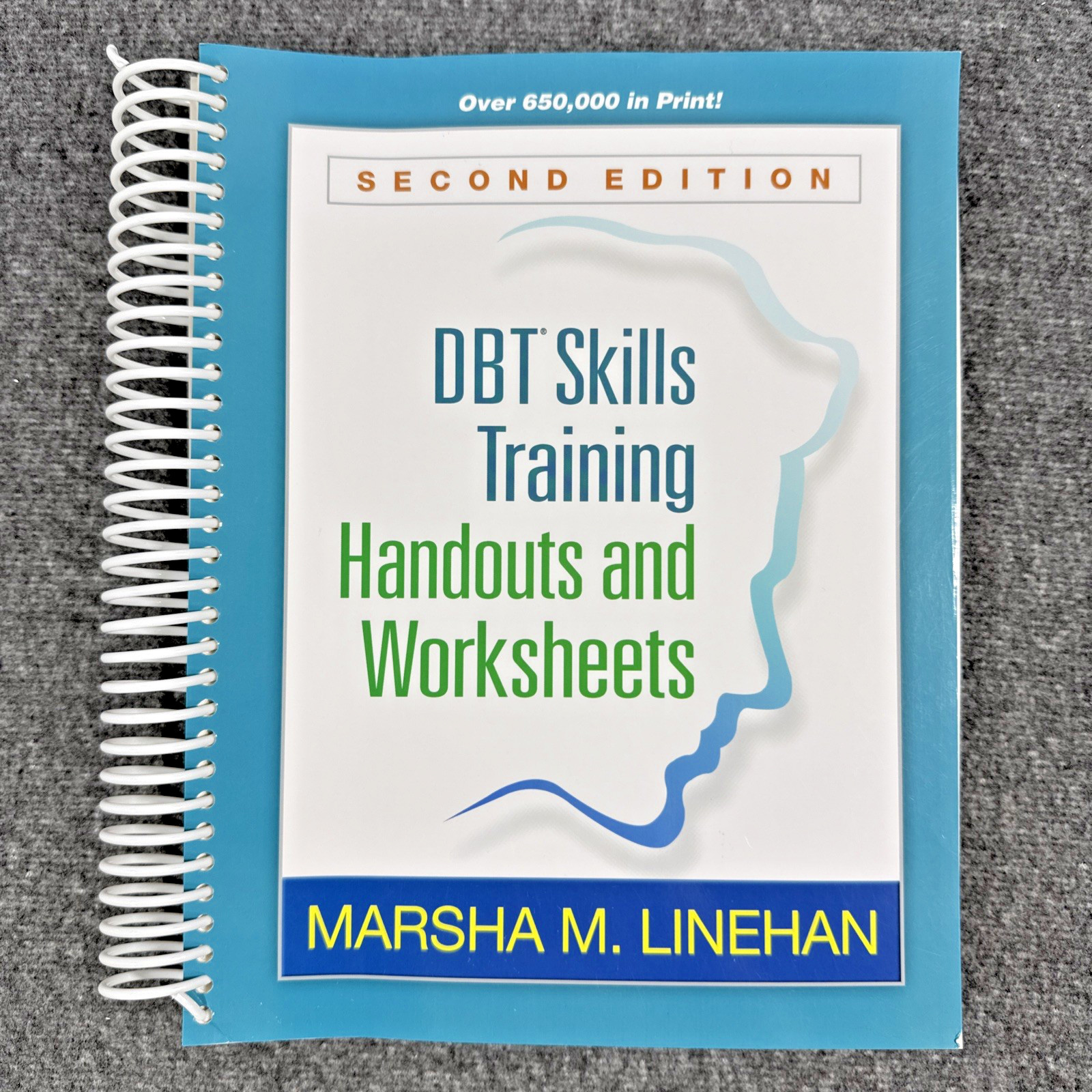 DBT Skills Training Handouts and Worksheets by Marsha M. Linehan, Like New