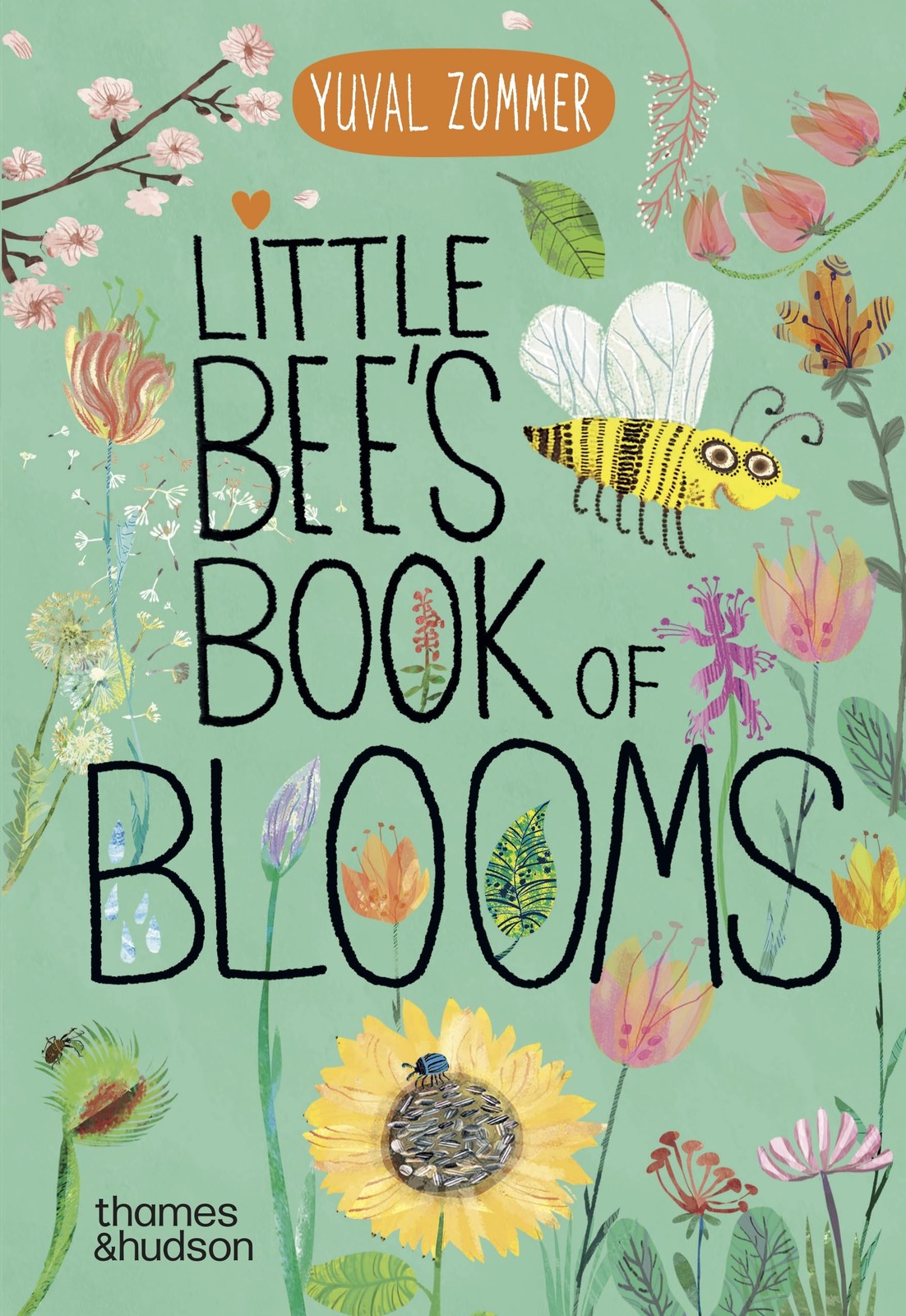 Little Bee’s Book of Blooms (Big Book of…)