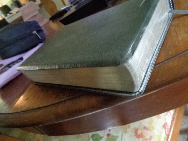 RIVERSIDE gray Genuine Leather Holy Bible KJV Giant Print Living Word WOC in red