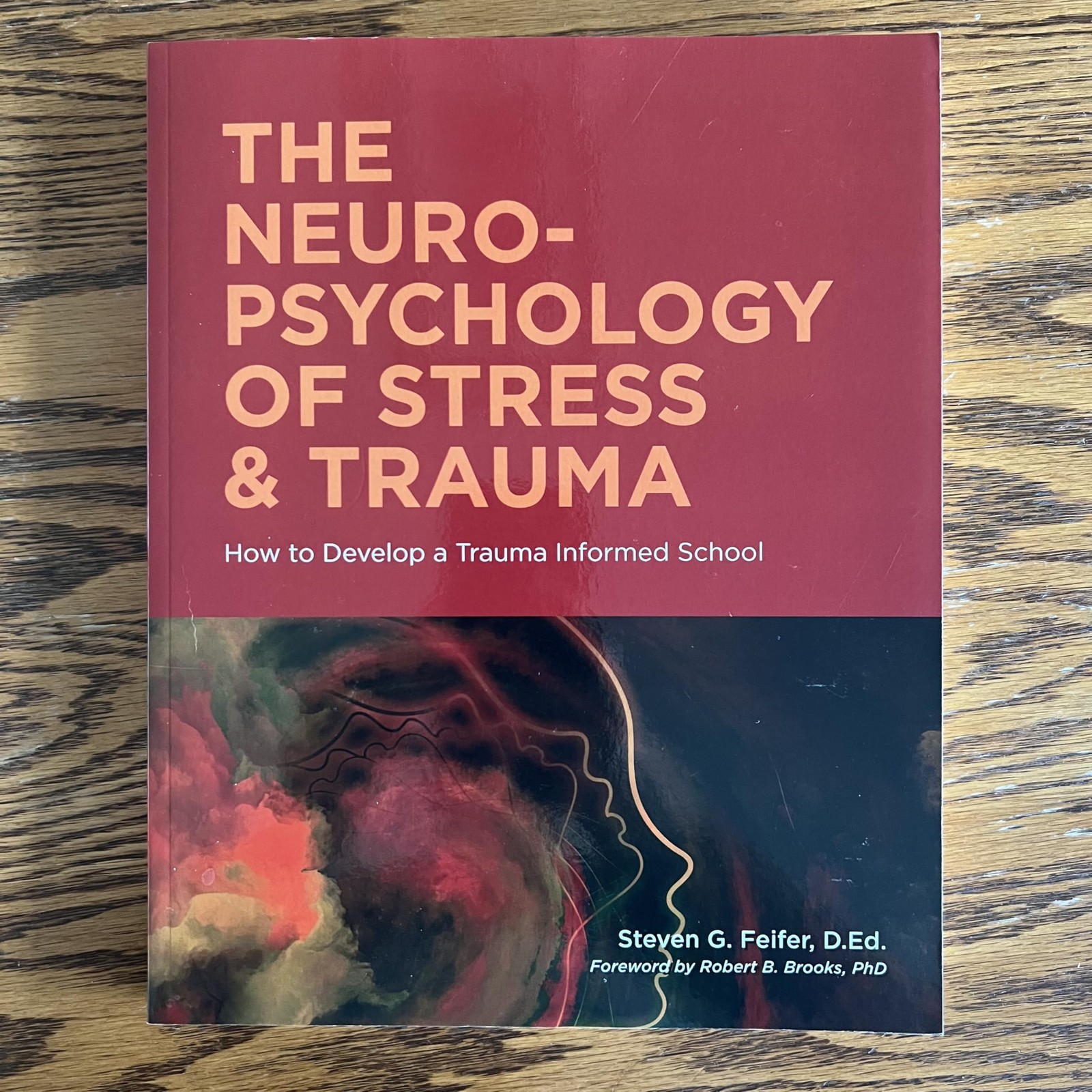 Neuropsychology of Stress and Trauma by Steven G. Feifer