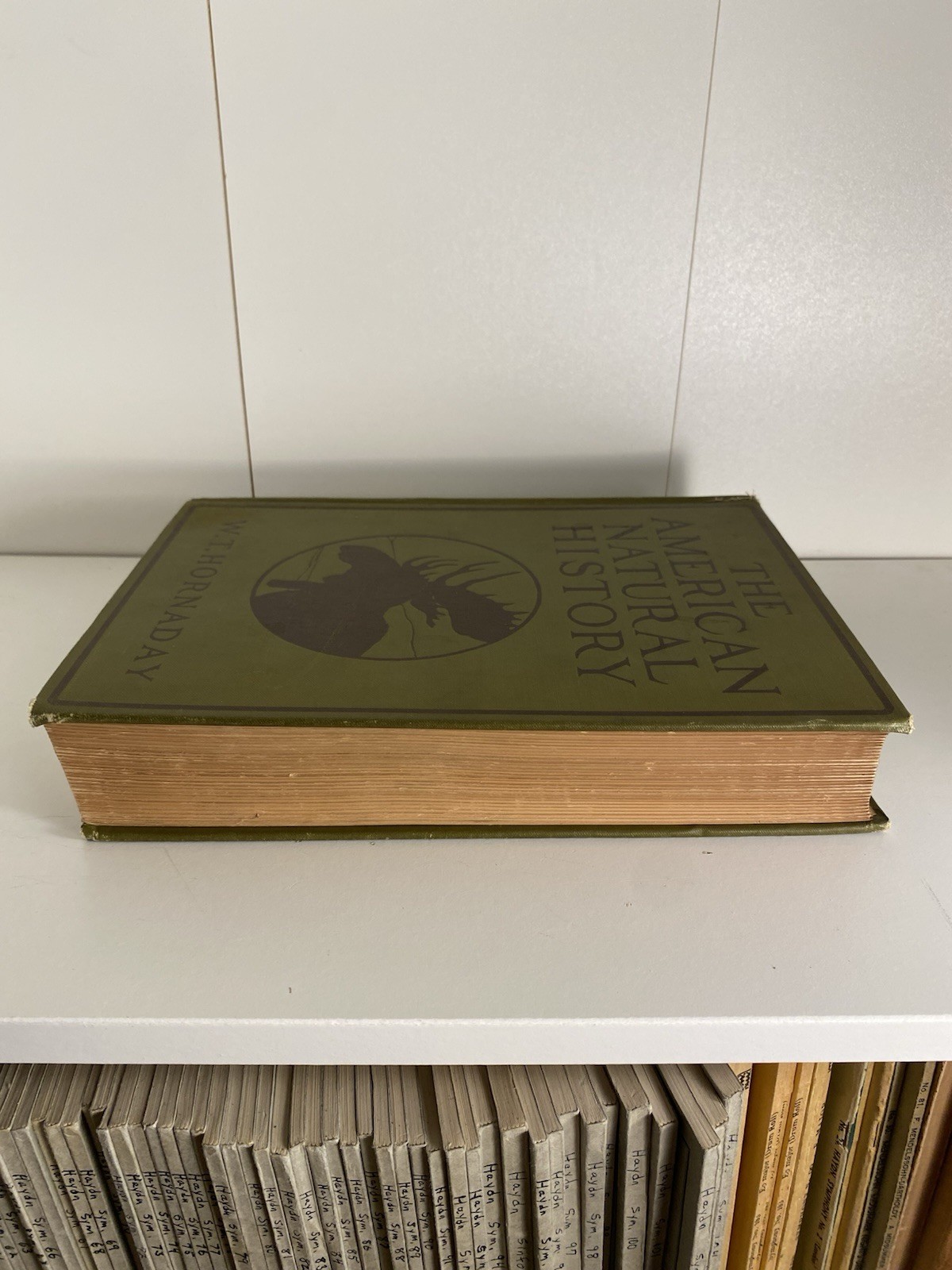 Antique Illustrated The American Natural History WT Hornaday 1912 Hardcover