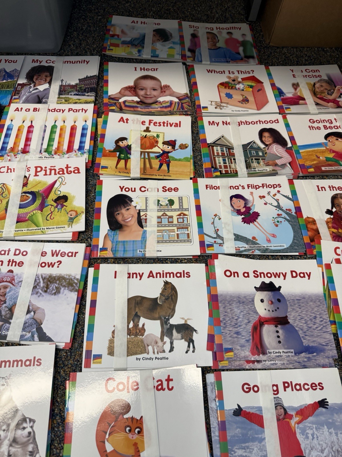 * Lot Of 39 Decodable Books – Ready To Advance,Benchmark Education