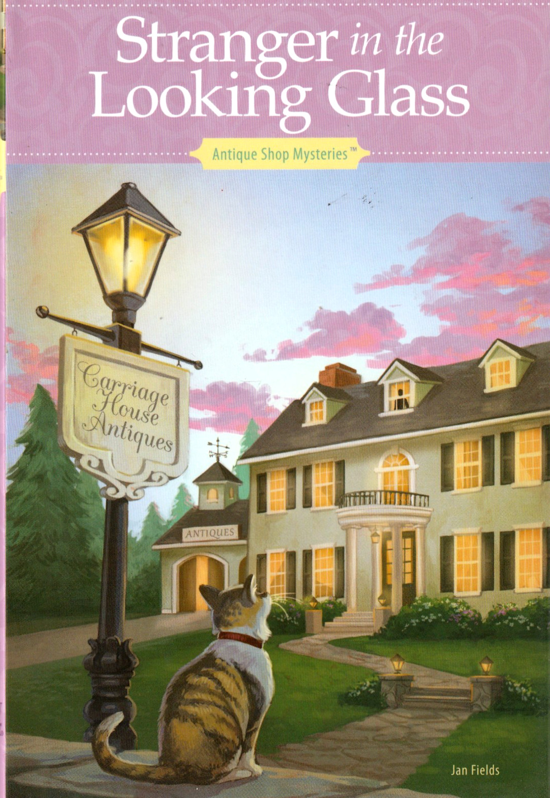 Annie’s Antique Shop Mysteries Series – Build Your Lot – Flat $6.75 Shipping