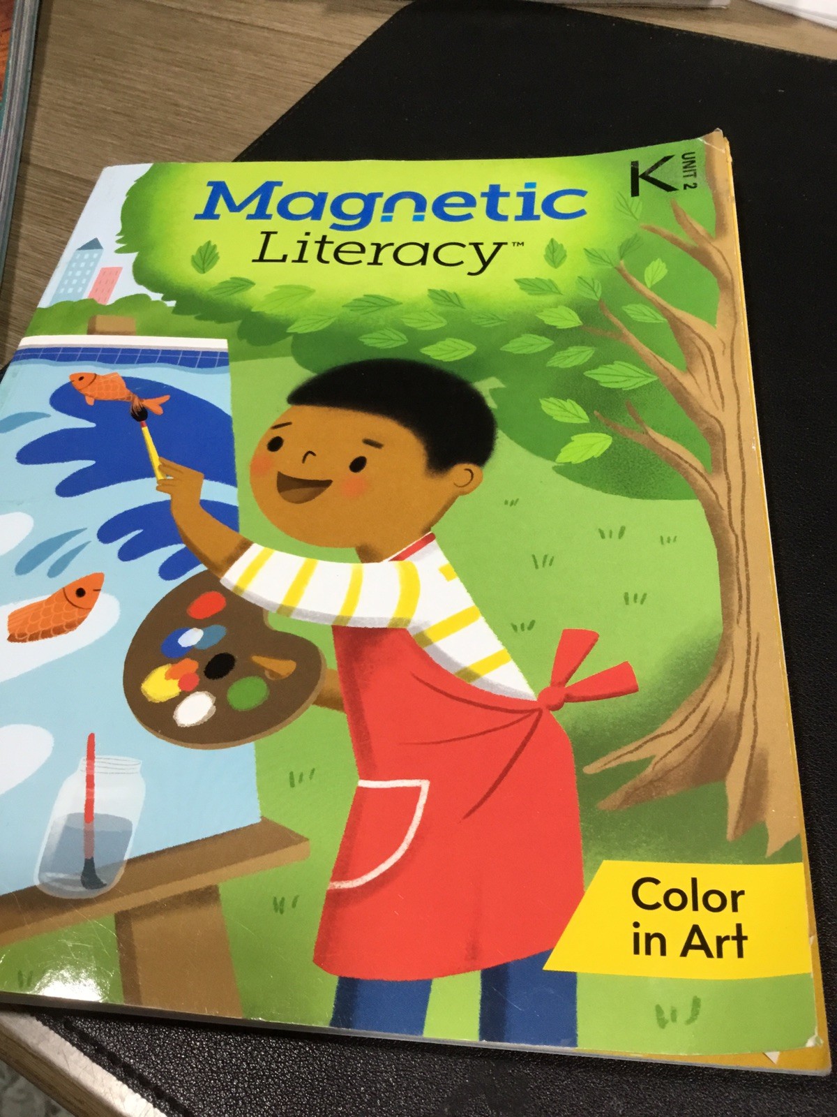 Magnetic Literacy K Unit 2 2027 Edition “Color in Art” 9781663050397 NEW BOOK