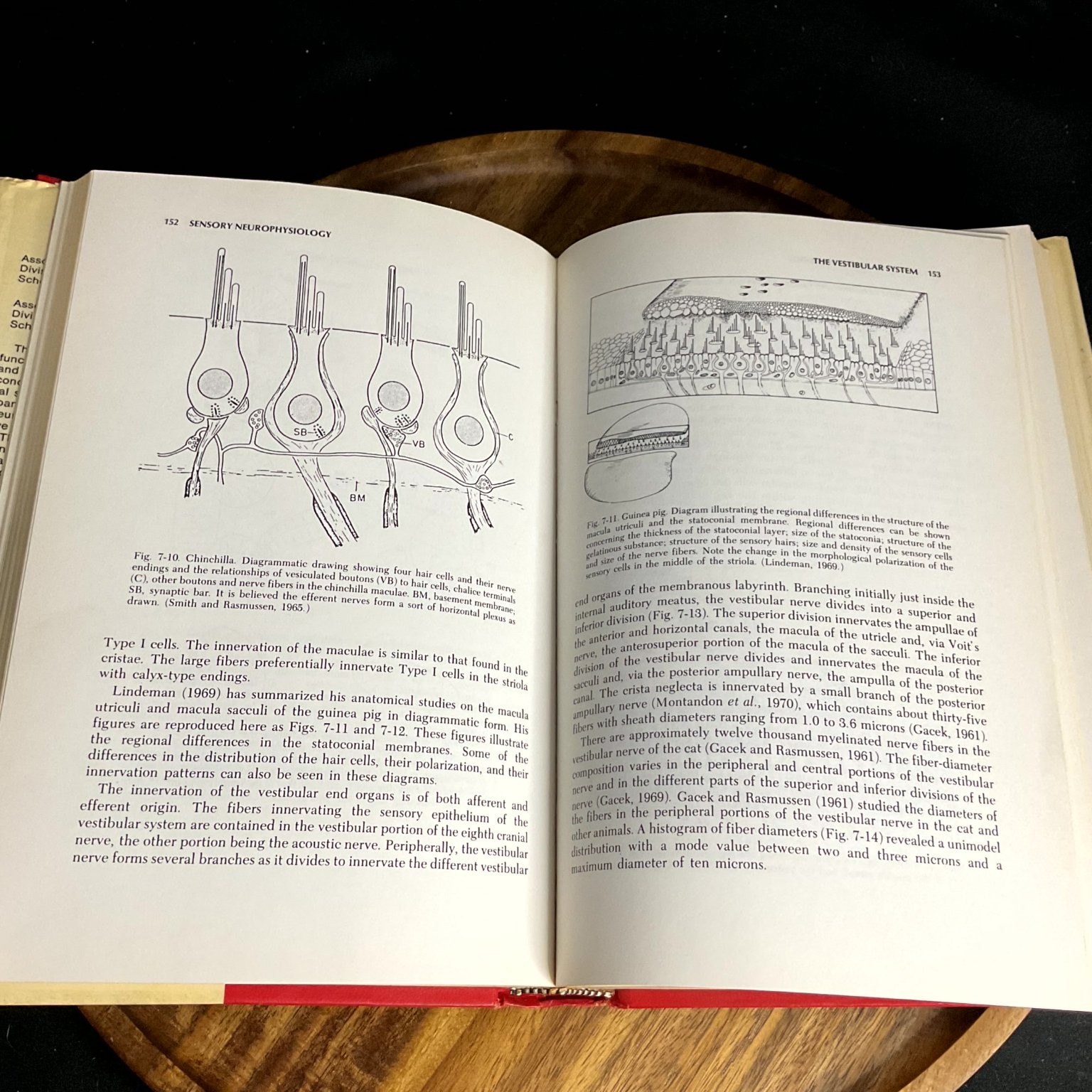 Sensory Neurophysiology Boudreau Tsuchitani 1973 Cat Neuroscience Book