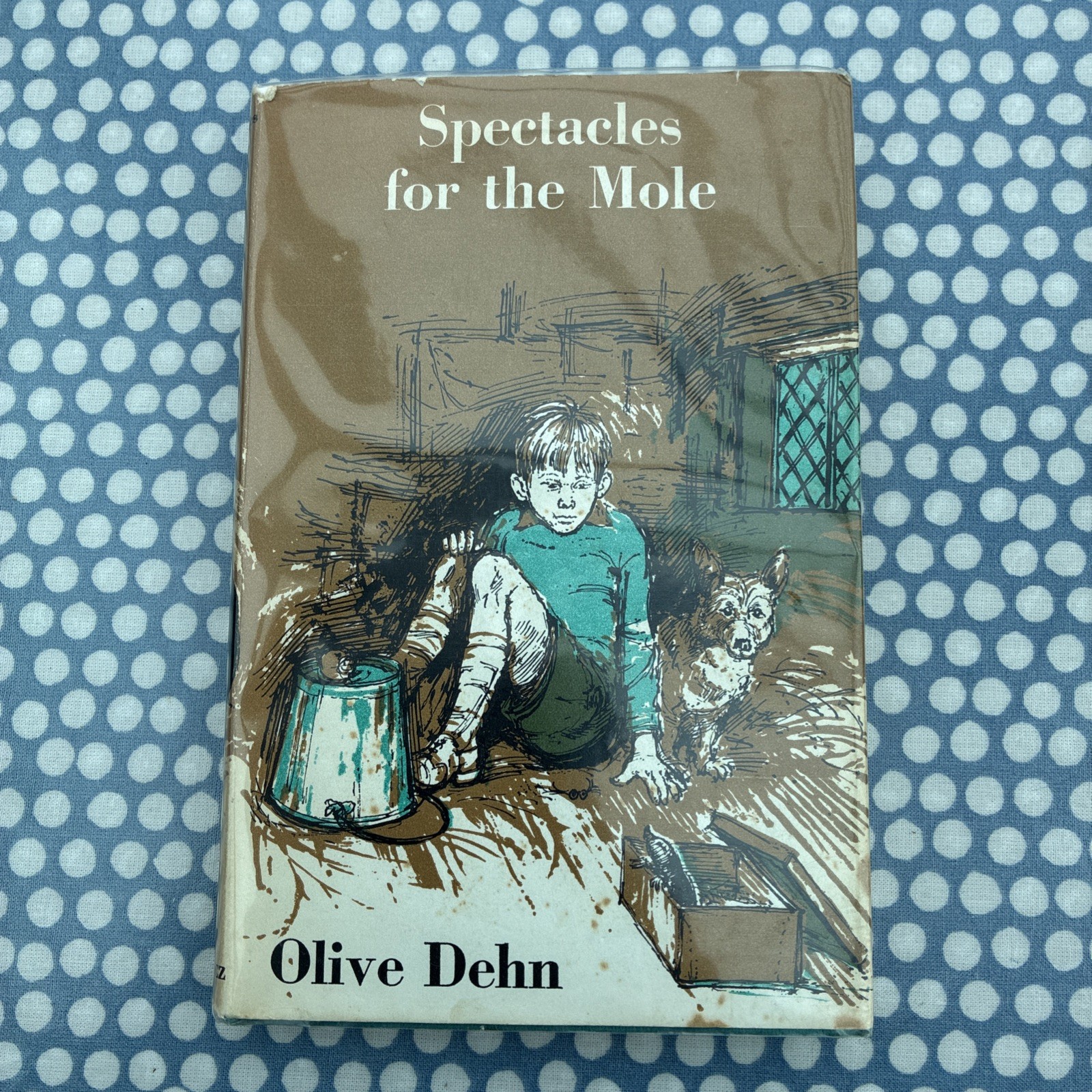 Spectacles For The Mole by Olive Dehn 1968 1st Edition Hardback In Dustjacket