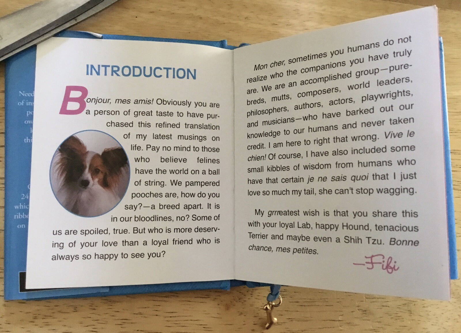 Charming Petite Ser.: Puppy Love : Musings from the Doghouse of Life (2006,…