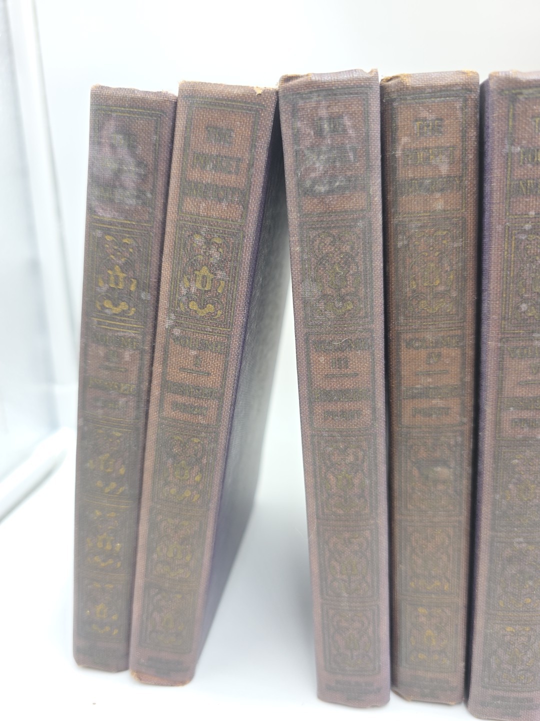 1924 Books The Pocket University Doubleday 17 Volumes