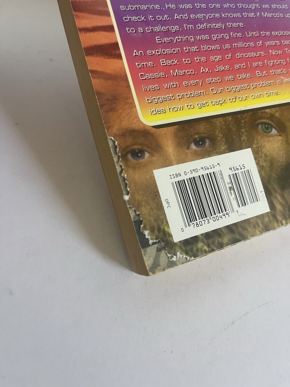 Animorphs Paperback 38 Book Lot -K. A. Applegate First Printing Paperback 90’s