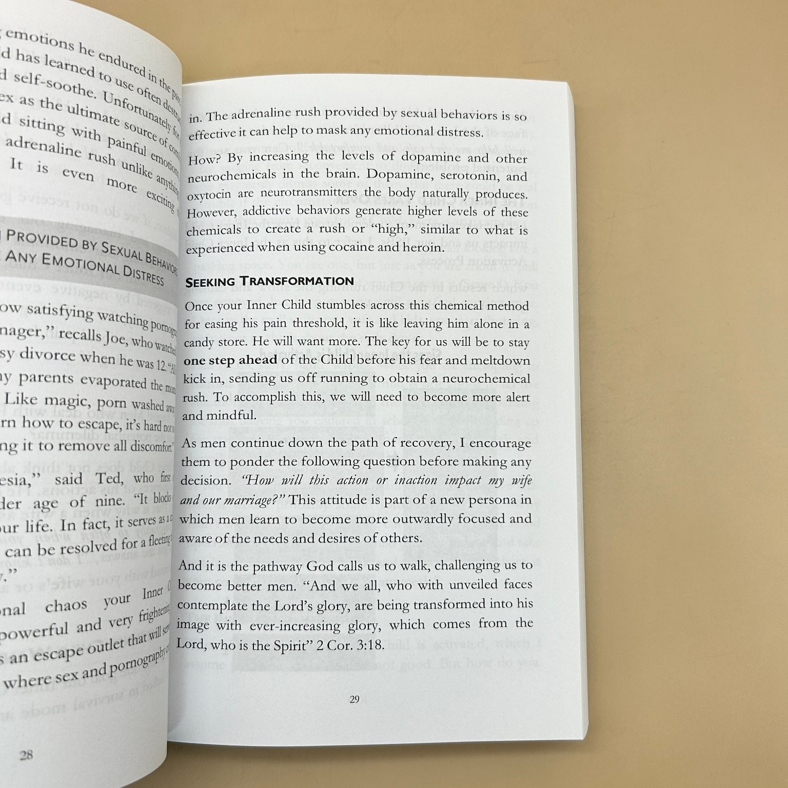 Going Deeper Eddie Capparucci PhD 2023 Second Edition Addiction Recovery