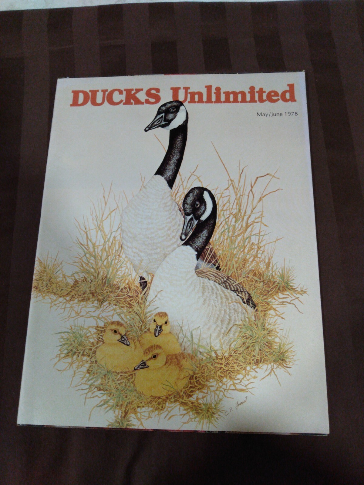 Vintage Ducks Unlimited Magazine May/June 1978